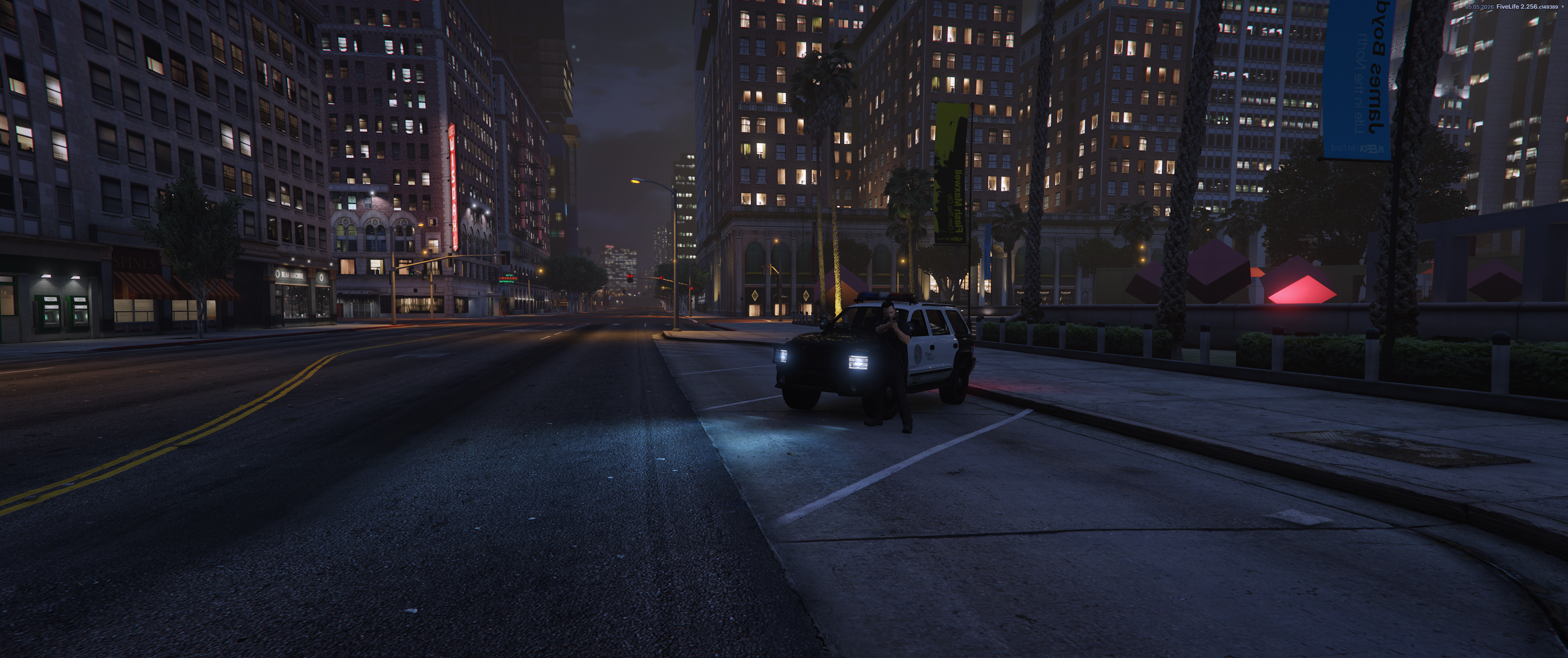 Akcja LSPD 3